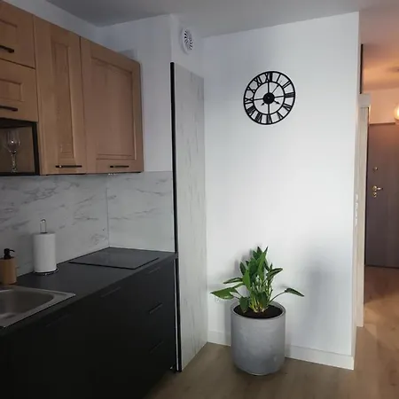 Like A Boss Executive Center Bank Polski 1929 Apartament *